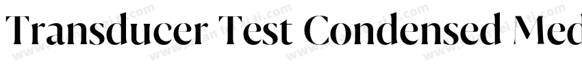 Transducer Test Condensed Medium字体转换